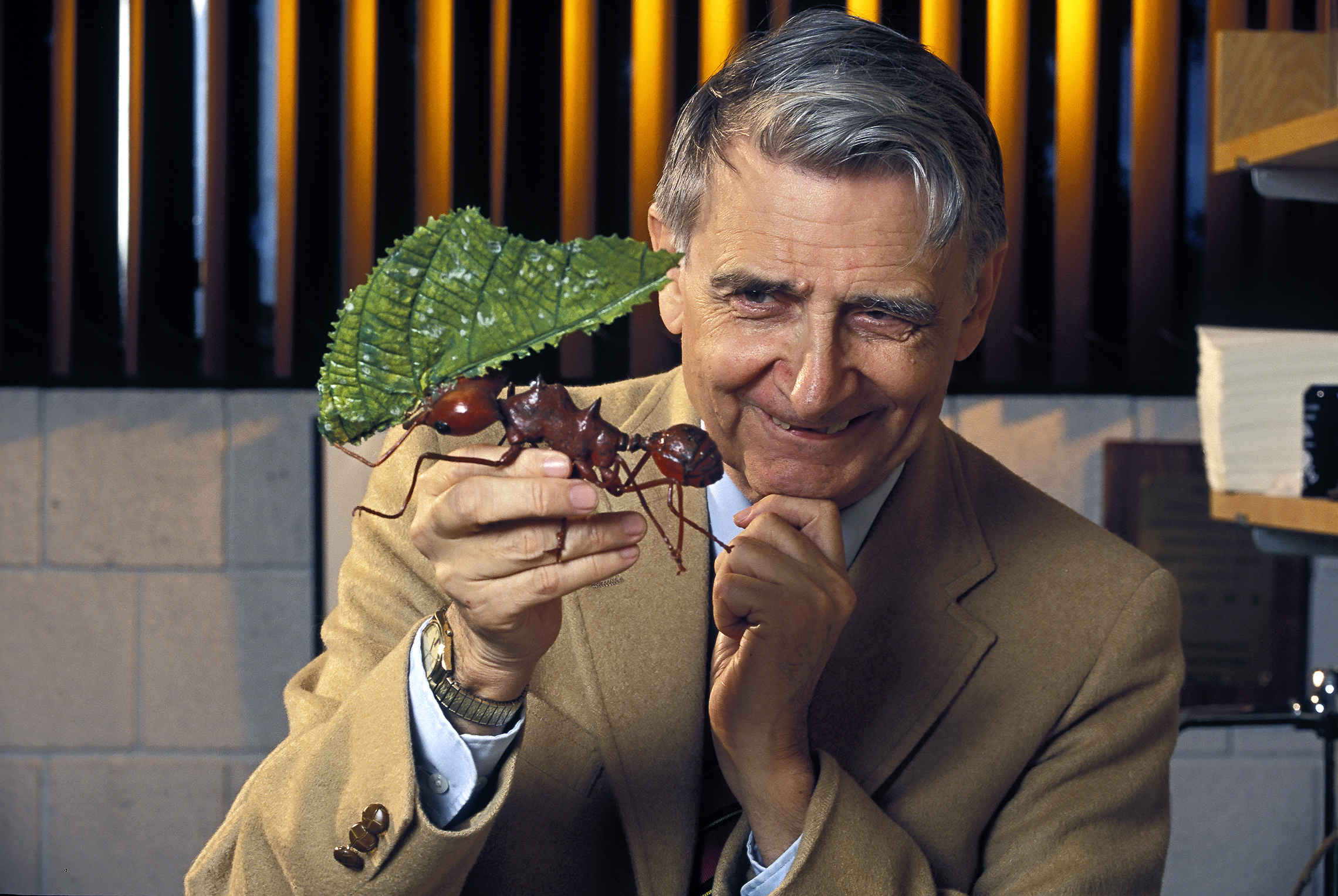 Edward O. Wilson, Ph.D. Academy of Achievement